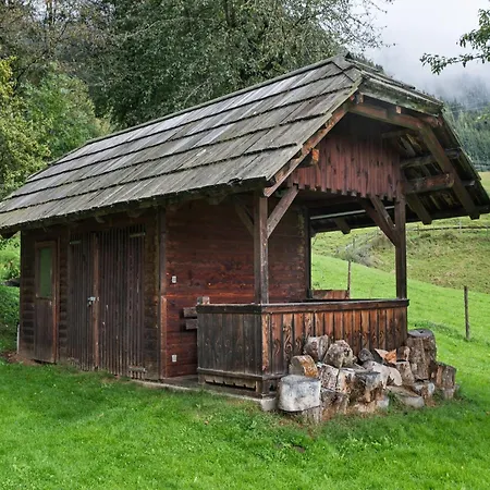 In Near Gerlitzen Area Apartament *