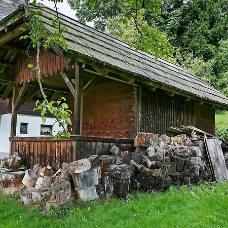 In Near Gerlitzen Area Apartament Arriach