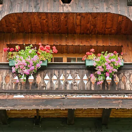 Apartament In Near Gerlitzen Area