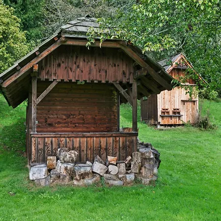 In Near Gerlitzen Area Apartament *