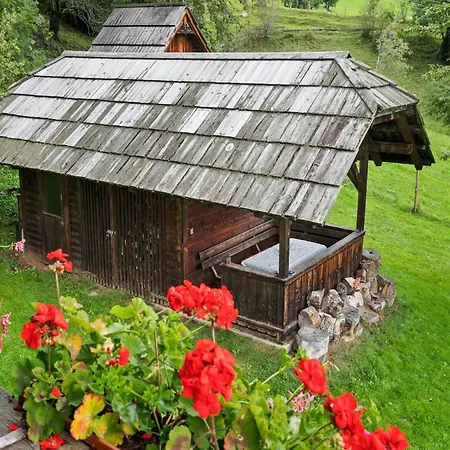 Διαμέρισμα In Near Gerlitzen Area