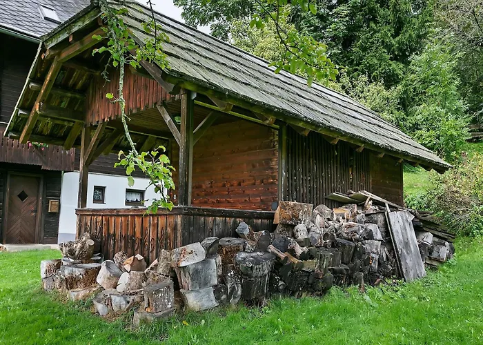 In Near Gerlitzen Area Apartament Arriach